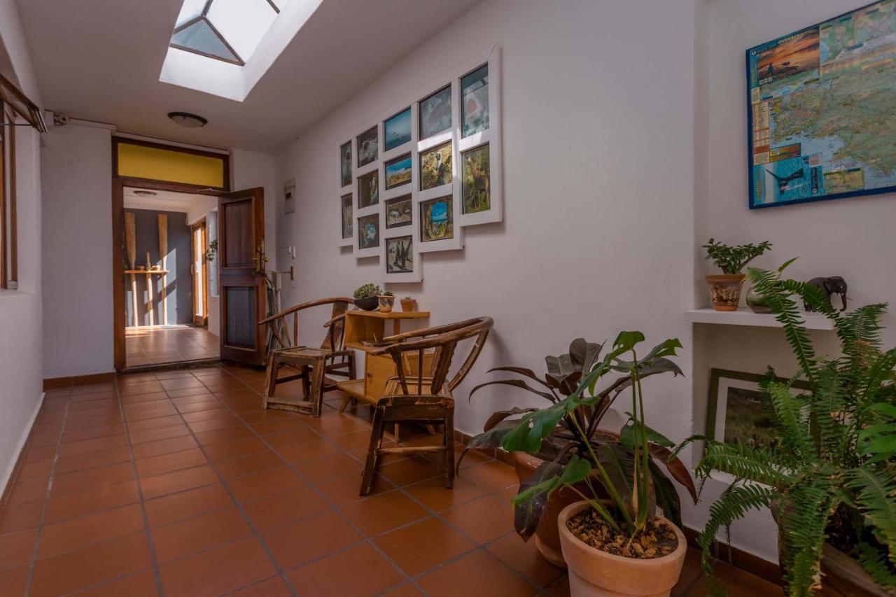 Saxon Lodge Gansbaai Εξωτερικό φωτογραφία